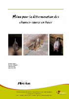 Mémo d’identification des Chauves-souris en hiver – Natagora 2015